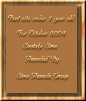 best new site October 2004 awarded by Sims Awards Group